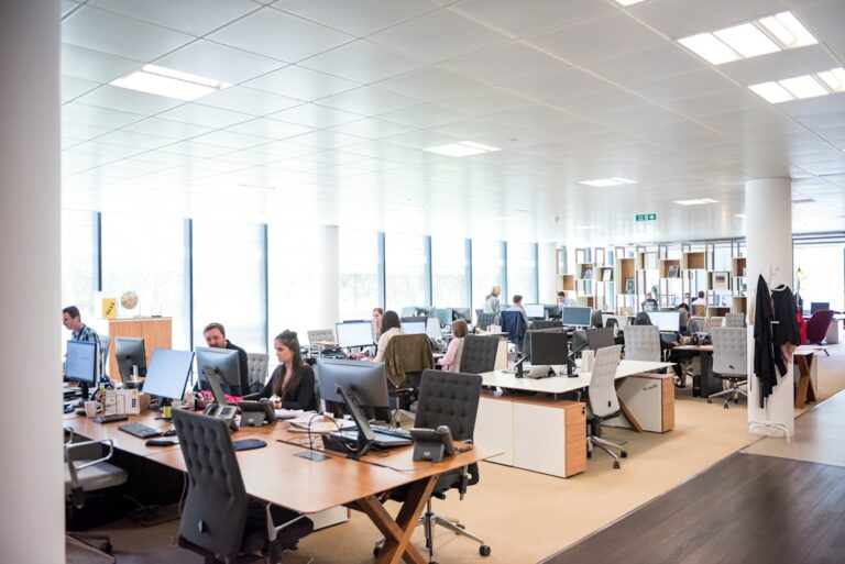 Understanding Employment Law: Your Rights and Responsibilities