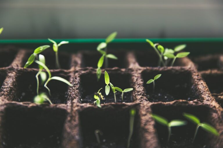 How to Develop a Personal Development Plan