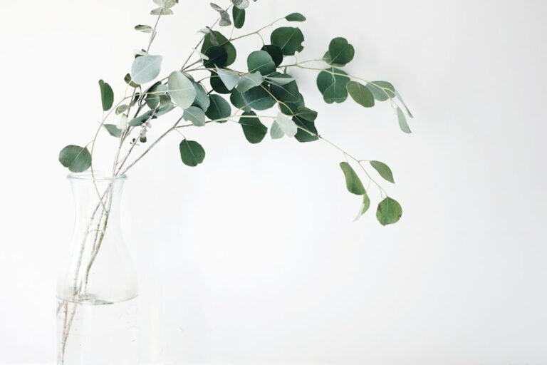 How to Prioritize Mental Health in Work-Life Balance
