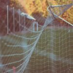 Setting SMART Career Goals for Success Photo Goal setting