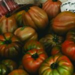 Photo Pomodoro Technique