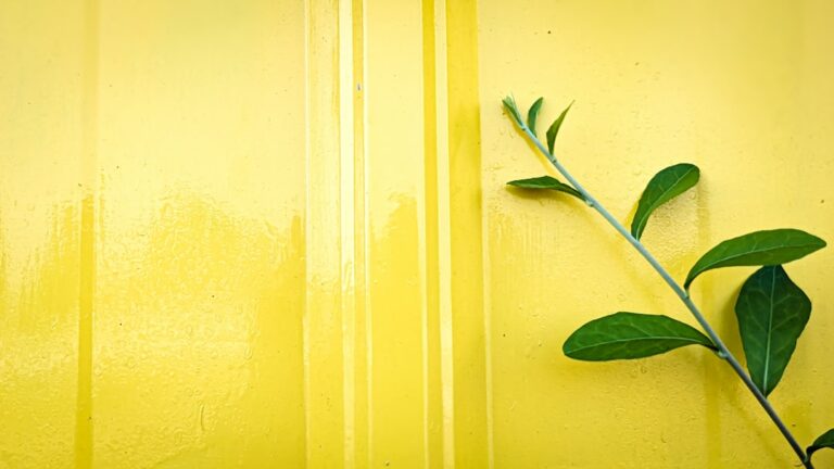 Tips for Creating a Digital Portfolio That Stands Out