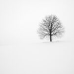 Strategies for Improving Your Decision-Making Abilities Photo Decision tree