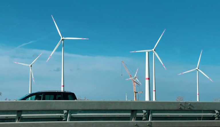 Jobs in the Renewable Energy Sector