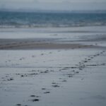 The Role of Vacations in Career Success Photo Relaxing beach