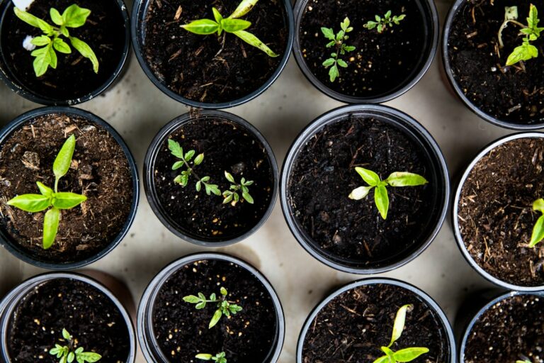 The Role of Personal Development in Career Success